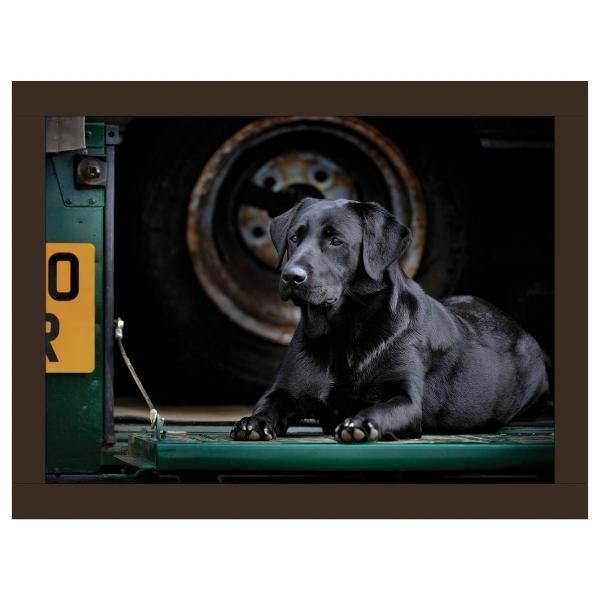 Rural Roots Bella The Black Lab Lap Tray