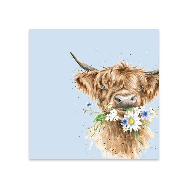 Wrendale Designs Pack Of 20 'Daisy Coo' Cocktail Napkin