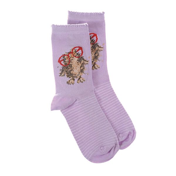 Wrendale Designs Spectacular Owl Socks