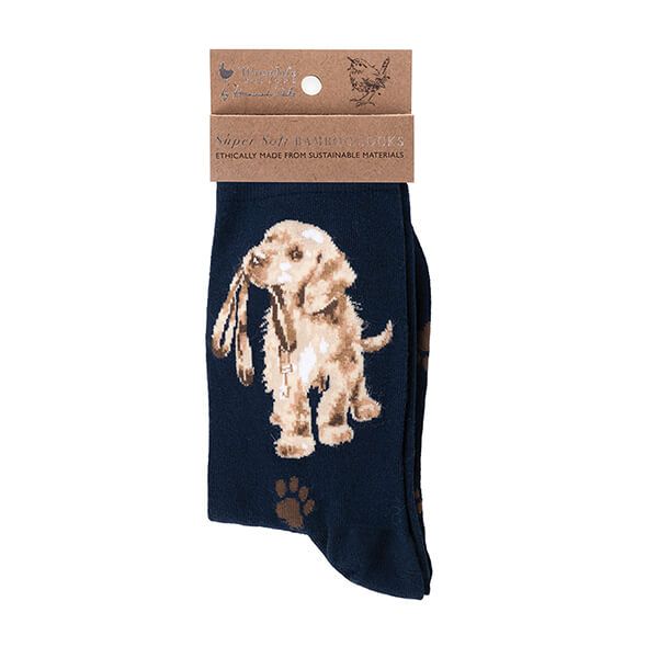 Wrendale Designs Hopeful Navy Dog Socks One Size