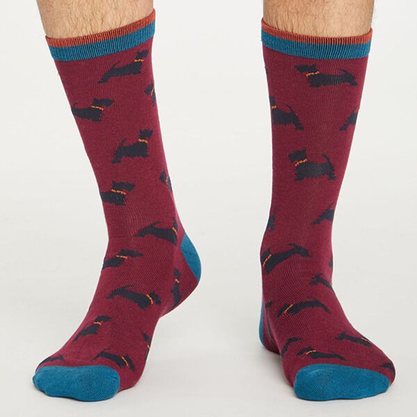 Thought Bilberry Hound Socks Size 7-11