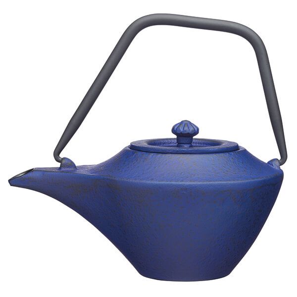 World of Flavours Cast Iron Infuser 450ml Teapot