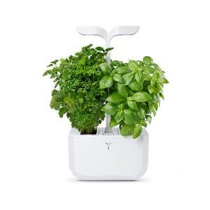 Veritable Arctic White Classic Exky 2-Slot Indoor Garden