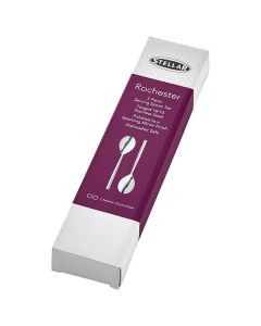 Stellar Rochester Polished Set Of 2 Serving Spoons Gift Box