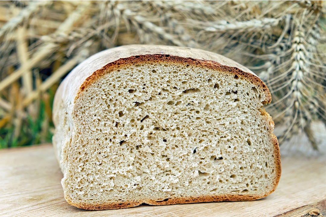 Back to Basics - Bread