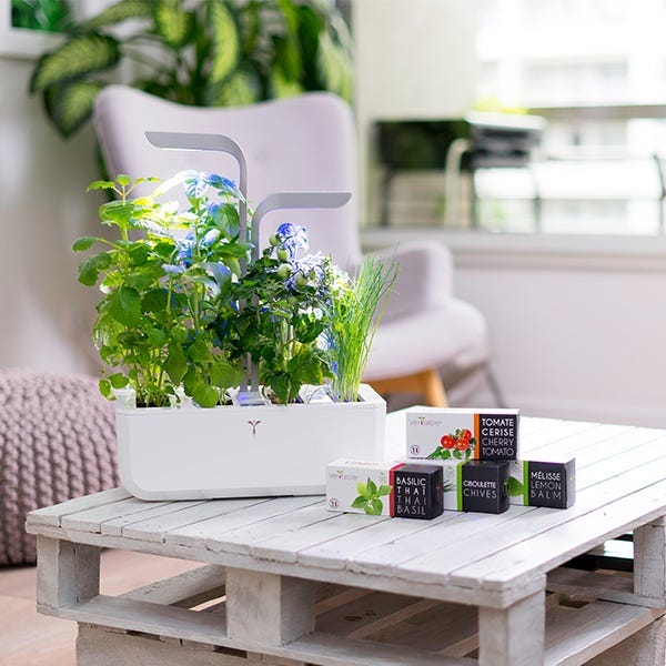 https://www.hartsofstur.com/media/gene-cms/v/e/veritable-indoor-gardens-section-top-desktop.jpg